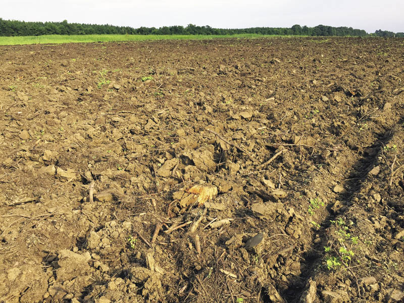 A field of brown earth has been broken apart after disking.